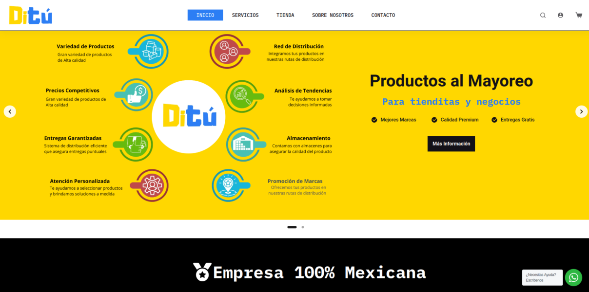 ditu-web-page